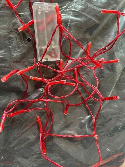 Photo of free Red fairy lights (Shoreham-by-Sea BN43) #1
