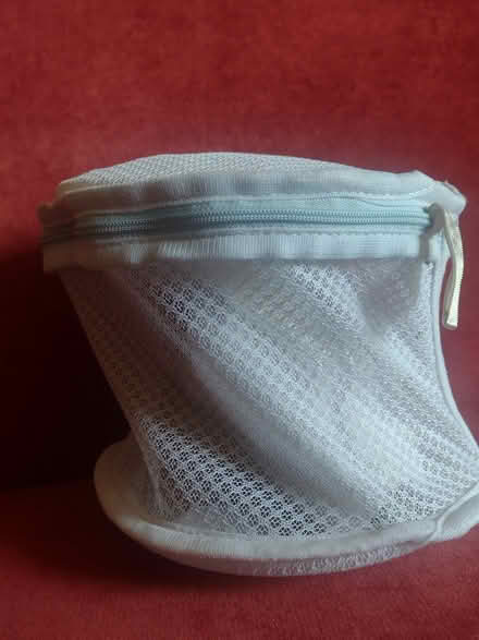 Photo of free XL bra wash capsule (Ballard loyal heights) #1
