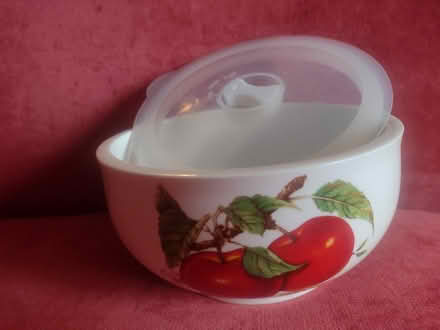 Photo of free Microwaveable percelain bowl (Ballard loyal heights) #1