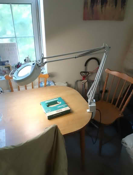 Photo of free Inspection lamp (Cutty Sark SE10) #3