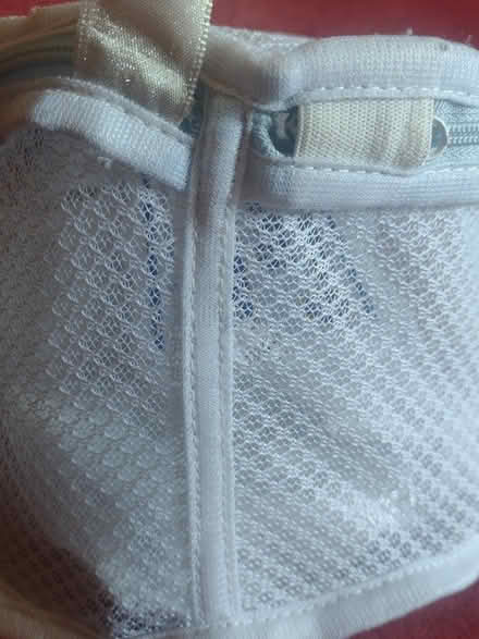 Photo of free XL bra wash capsule (Ballard loyal heights) #2