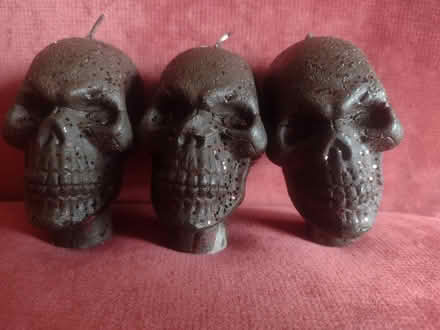 Photo of free 3 skull candles (Ballard loyal heights) #1