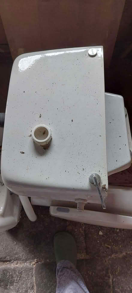 Photo of free White washbasin and toilet (Sedbergh LA10) #4