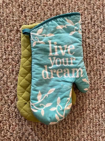 Photo of free Oven mitts (Spring Hill) #1