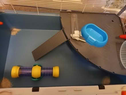 Photo of free Hamster/small pet cage (Lochend EH7) #1