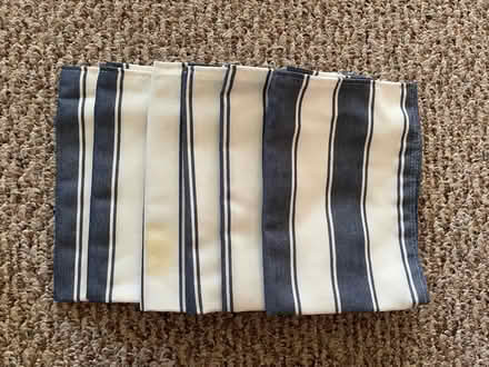 Photo of free 6 place mats (Spring Hill) #1