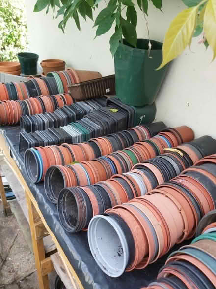 Photo of free Flower pots (Northwood HA6) #2