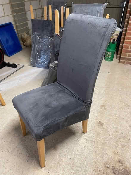 Photo of free 6 x Velvet covered chairs (Southwater RH13) #1