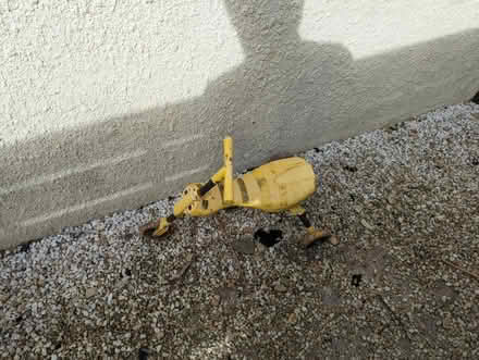 Photo of free Kids scuttlebug (Torquay) #1
