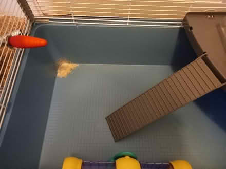 Photo of free Hamster/small pet cage (Lochend EH7) #3