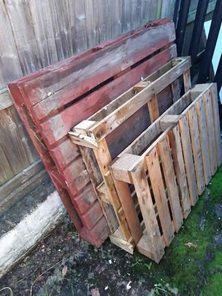 Photo of free 3 pallets (LL11) #1