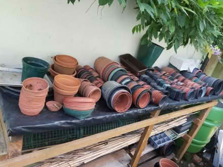 Photo of free Flower pots (Northwood HA6) #1