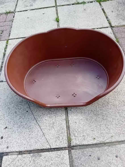 Photo of free Plastic Dog bed (Brinscall PR6) #1