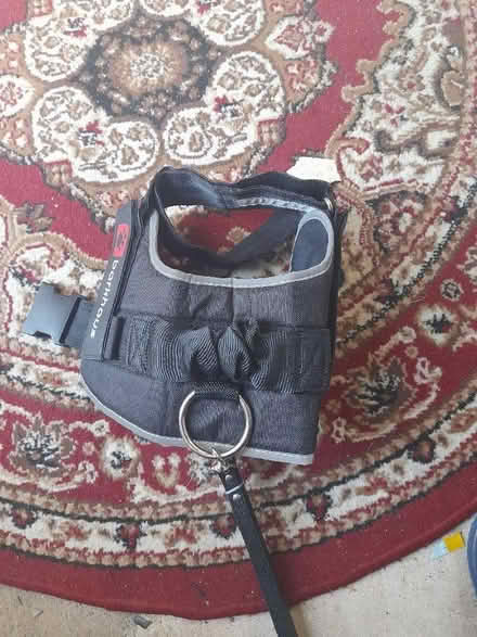 Photo of free Large dog harness (Witham CM8) #1