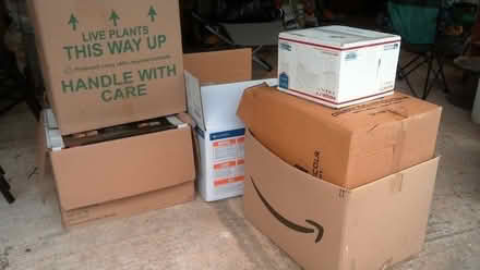 Photo of free Large packing boxes (Chalvington BN27) #1