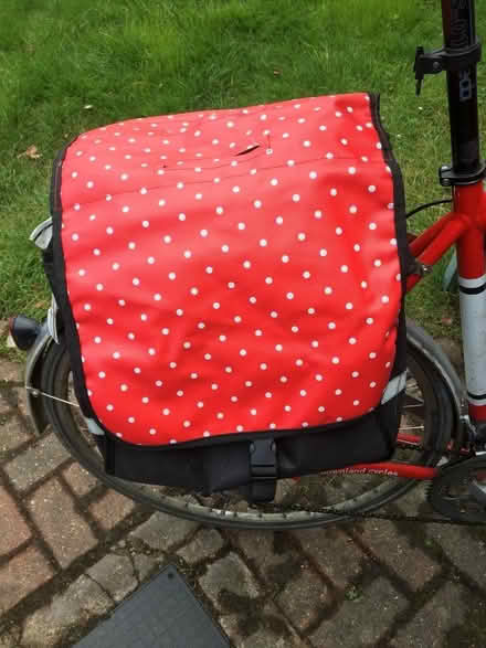Photo of free Rear cycle panniers (CT4) #2
