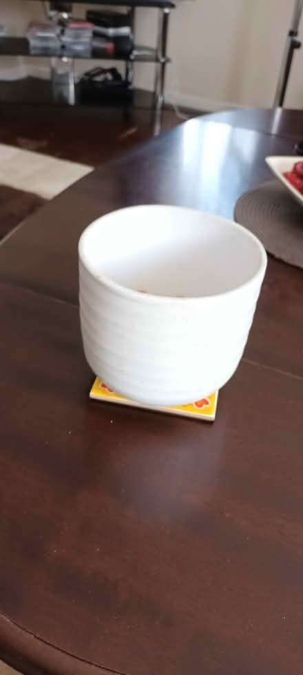Photo of free Plant pot. (Fishermead MK6) #1