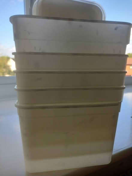 Photo of free 4 litrs ice tubs and lids (Sheddingdean RH15) #1
