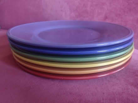 Photo of free Rainbow plates (Ballard loyal heights) #1