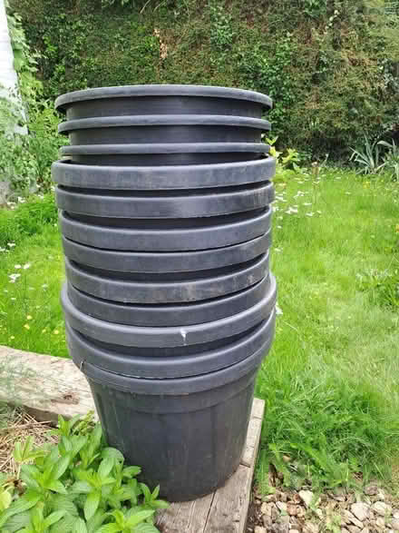 Photo of free Large plastic plant pots (Benson OX10) #1