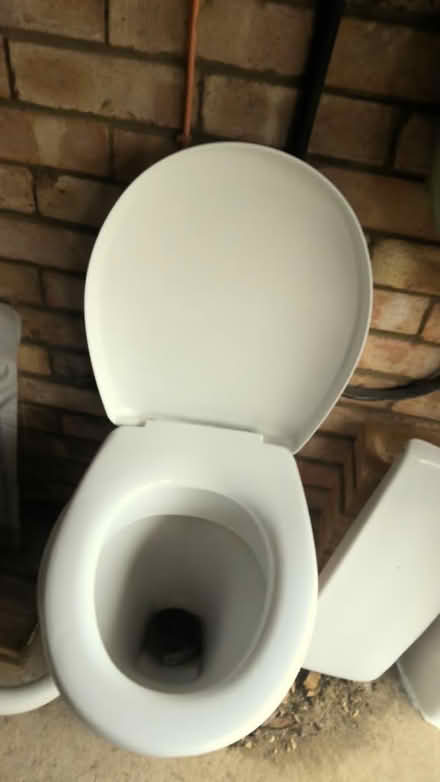 Photo of free Toilet with soft-close seat (Heelands MK13) #1