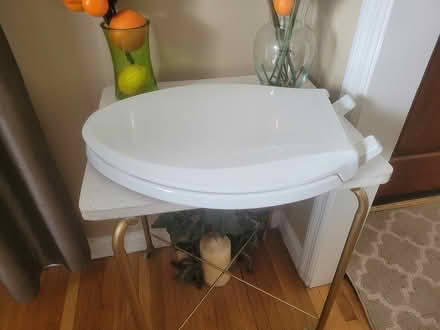 Photo of free New Kohler toilet seat lid (Crestwood) #2