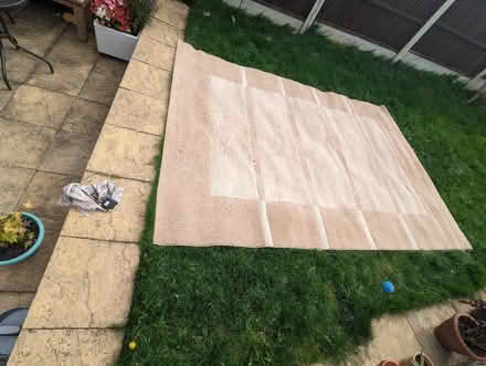 Photo of free Rug 11 by 8 ft (S12) #1