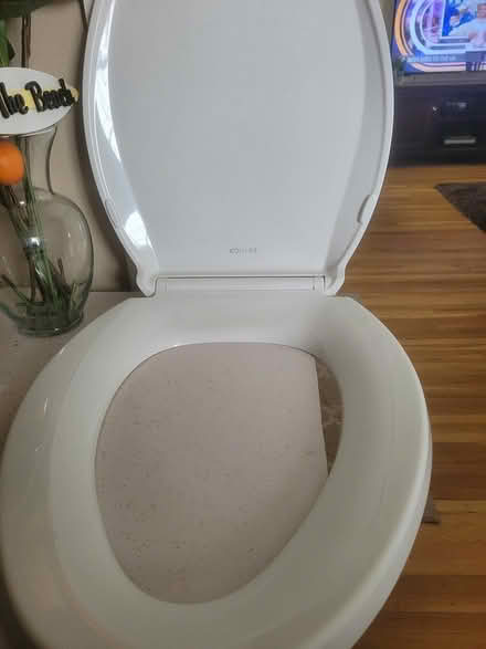 Photo of free New Kohler toilet seat lid (Crestwood) #1