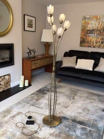 Photo of free Floor lamp (Norton in Hales TF9) #1