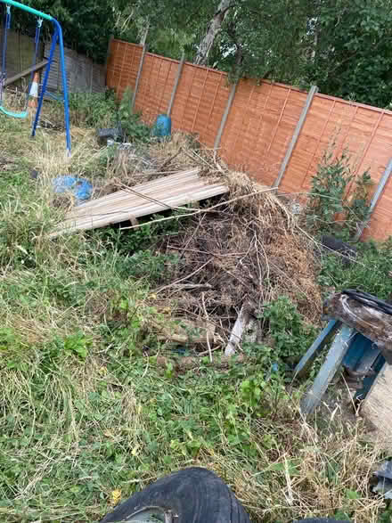 Photo of free large pile of branches etc (guildford GU1) #1