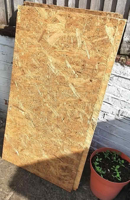 Photo of free Sheets of Sterling OSB (Croydon CR2) #1