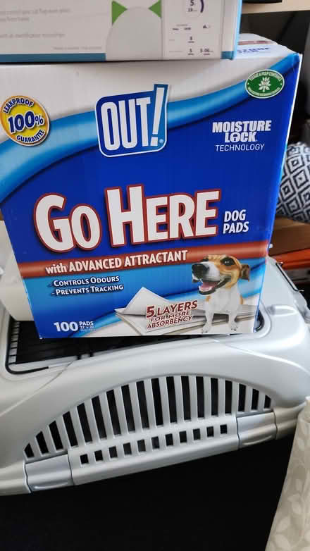 Photo of free Puppy toilet training pads & holder (Chelsfield BR6) #3