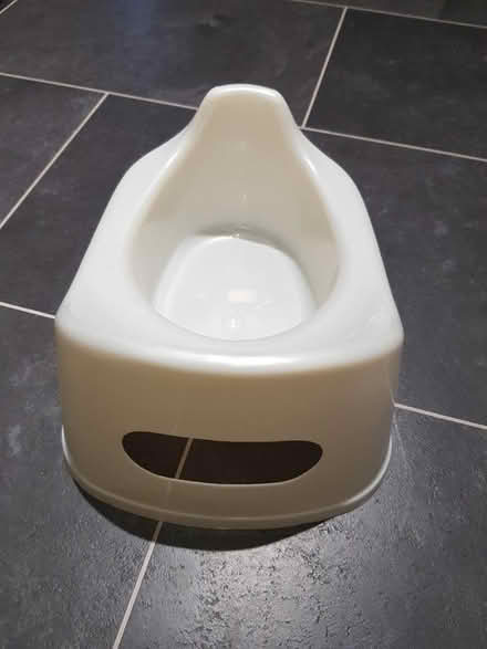 Photo of free Toddler's potty (Carlton/Gedling NG4) #2