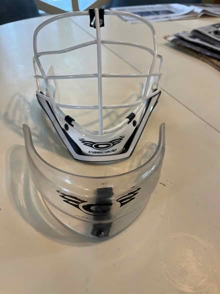 Photo of free Lacrosse goalie gear (Lafayette) #1