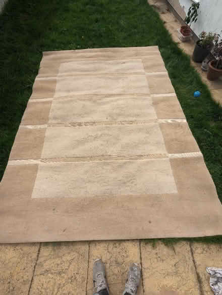 Photo of free Rug 11 by 8 ft (S12) #2