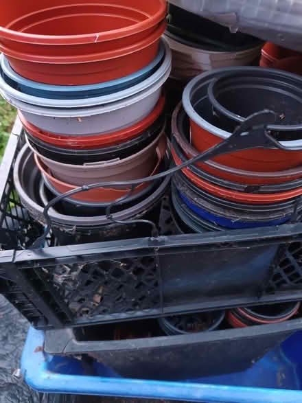 Photo of free Plant pots (Fairfield L7) #1