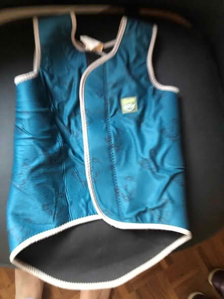 Photo of free Swim vest (Ashton CH3) #1