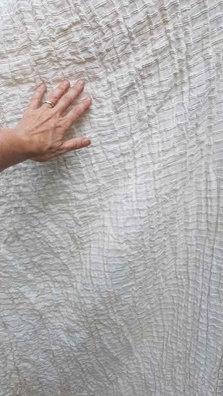 Photo of free Large cotton curtains (Trumpington Ward CB2) #3