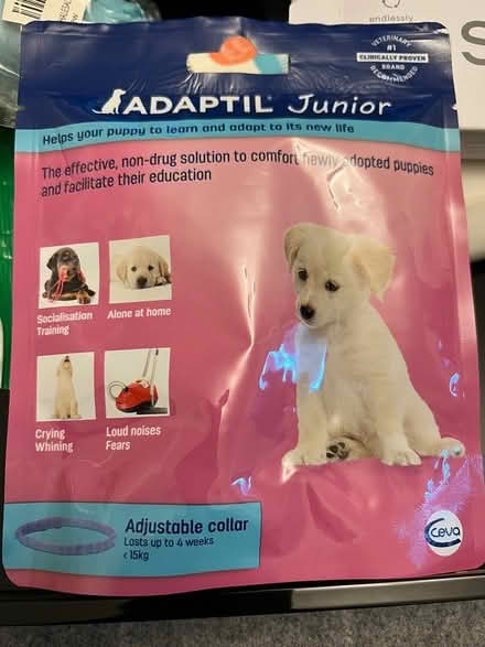 Photo of free Adaptil Junior puppy collar (Chelsfield BR6) #1