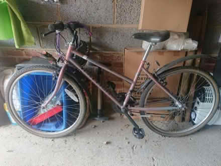 Photo of free Women Raleigh Monsoon bike (Heelands MK13) #3