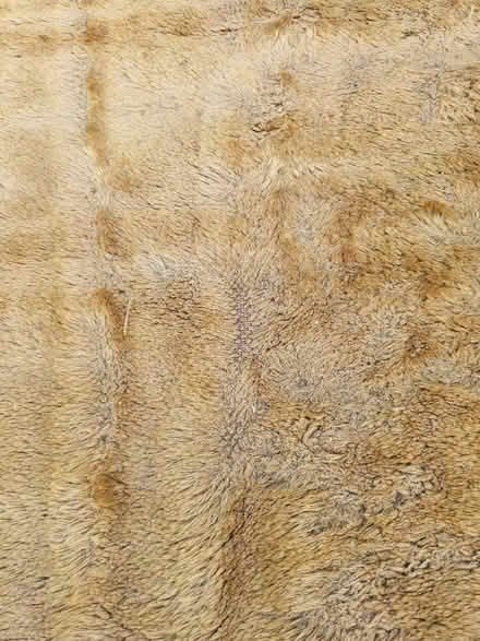 Photo of free Rug. 1.8m x 0.9m. Mustard colour. (Giffnock G46) #2