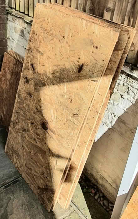 Photo of free Sheets of Sterling OSB (Croydon CR2) #3