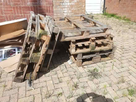 Photo of free Palates (Loughton) #1