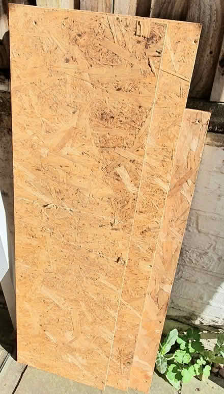 Photo of free Sheets of Sterling OSB (Croydon CR2) #2