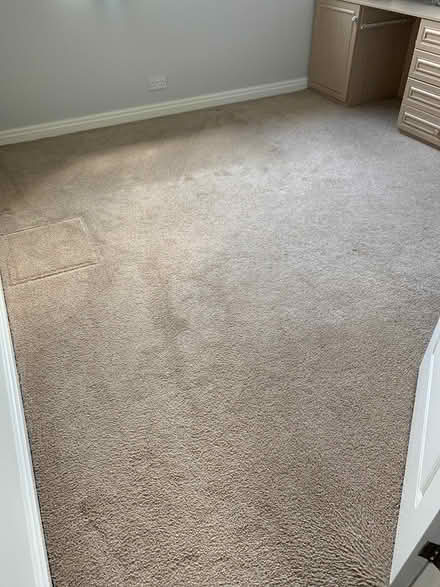 Photo of free Carpet (Halifax) #1