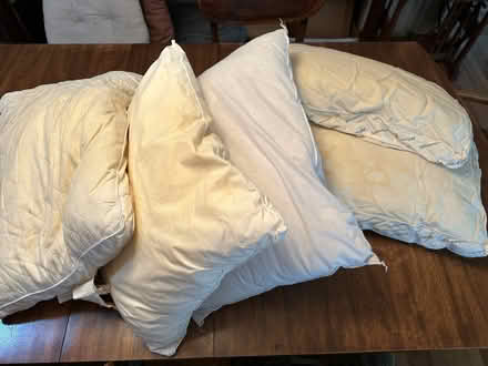 Photo of free five standard pillows (Long Beach/Lakewood) #1