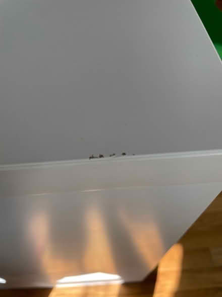 Photo of free Kids desk (Brightwood (20012)) #4