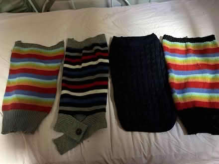Photo of free dog jumpers (Charminster BH9) #1