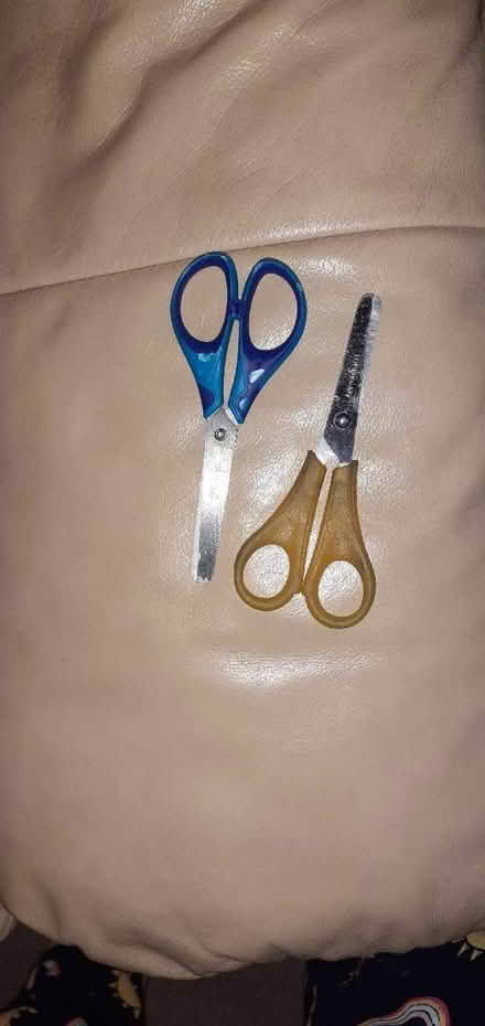 Photo of free Kids Scissors ✂️ (Allerton BD15) #1
