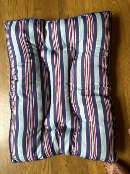 Photo of free Medium Dog bed (East Point) #1